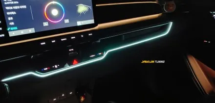EV9 엠비언트, 순정 엠비언트에는 없는 라인이 야무진튜닝에서는 가능합니다!! EV9 틈새 매립 엠비언트~