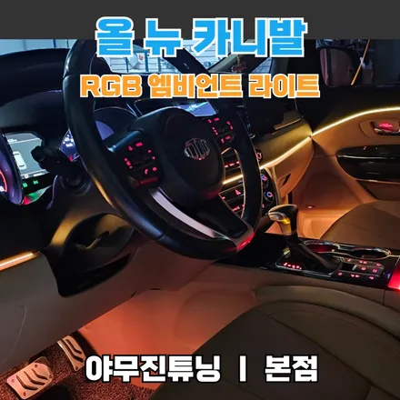 패밀리카 그 이상, 올뉴 카니발 엠비언트 라이트 튜닝을 고민하는 순간은? / 포천, 양주, 의정부, 동두천