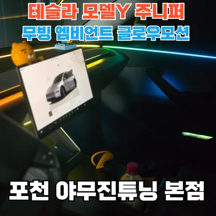 테슬라 모델Y 주니퍼 엠비언트 라이트 순정라인에 무빙의 역동성을 담았습니다. / 포천, 양주, 의정부, 동두천