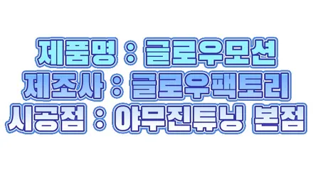 테슬라 모델X 무빙 엠비언트 글루오모션을 시공했더니 이런 분위기가... / 포천, 양주, 의정부, 동두천