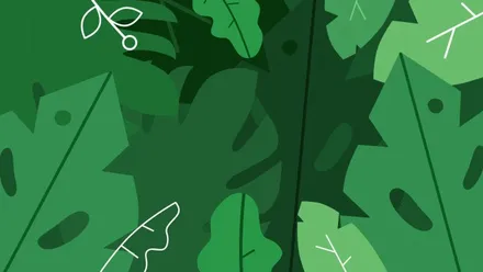 기아 K8 엠비언트? 무빙 엠비언트? 이건 무조건 빠져듭니다. / 포천, 양주, 의정부, 동두천