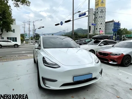 대구 테슬라 모델Y 루마버텍스 신차패키지 잘하는곳 / 대구 수성구 상동