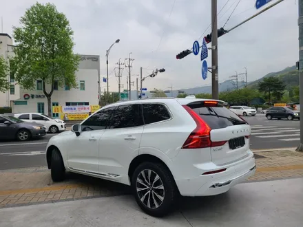 볼보 XC60 / 전세계 판매1위 루마버텍스 신차패키지 / 대구 수성구 상동