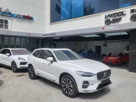 볼보 XC60 / 전세계 판매1위 루마버텍스 신차패키지 / 대구 수성구 상동