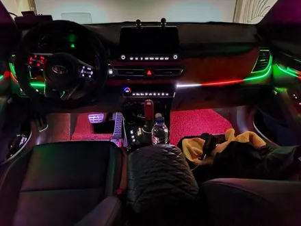셀토스 비노출 DMX 무빙엠비언트 / 대전,천안,청주,세종
