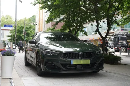 BMW M850i, 썬팅 + PPF로 새 차 준비 완료! / 서울 마포구 성산동