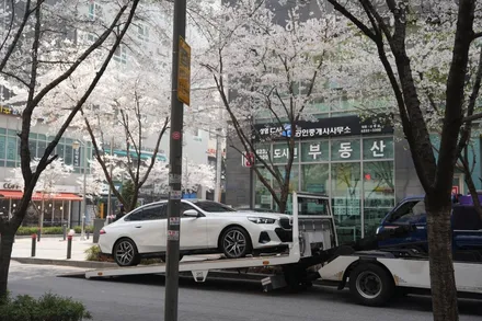 BMW 520i 버텍스 900 농도 전면30 측후면05 시인성 좋을까 / 서울 마포구 성산동