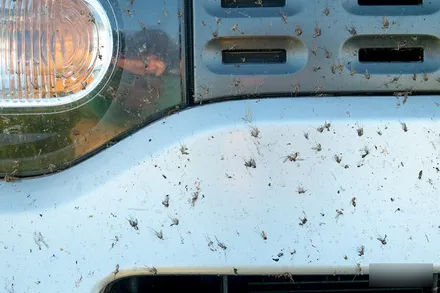 BMW X7, 오너들에게 가장 받는 시공조합은? / 서울 마포구 성산동