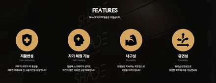 테슬라 모델 Y 주니퍼, 블랙 PPF로 투톤 스타일 완성 / 서울 마포구 성산동