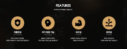 BMW i5,  전체 PPF로 빈틈없이 시공완료했습니다! / 서울 마포구 성산동