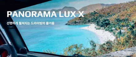 테슬라 모델 Y 주니퍼, 펄화이트에 어울리는 필름은? / 서울 마포구 성산동