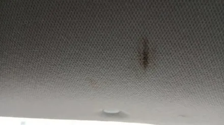 대구 실내크리닝 전문점 현대 코나EV 실내 묵은때 제거 신차만들기 / 대구 구미