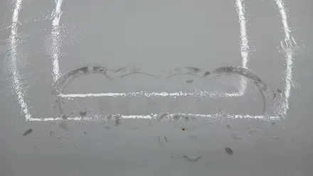 대구 달서구 서구 평리동 광택 잘하는 곳 아우디 R8 폴리싱 / 대구 구미