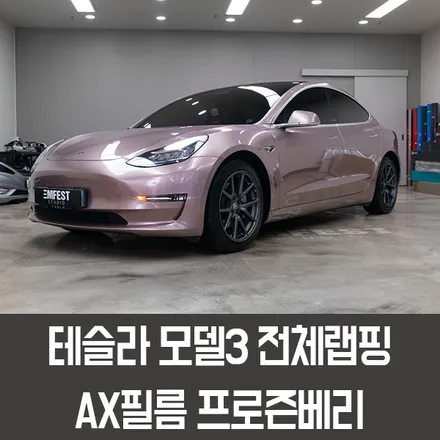 청라랩핑 테슬라 모델3 타이칸 순정컬러인 프로즌베리로 연출하기! / 용인시 처인구 포곡읍