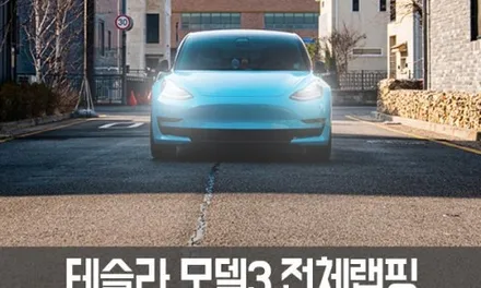 [엠페스트] 인천랩핑,청라랩핑,김포랩핑 엠페스트 스튜디오! 테슬라 모델Y전체랩핑 에이버리 락그레이전체랩핑 시멘트랩핑 / 용인시 처인구 포곡읍