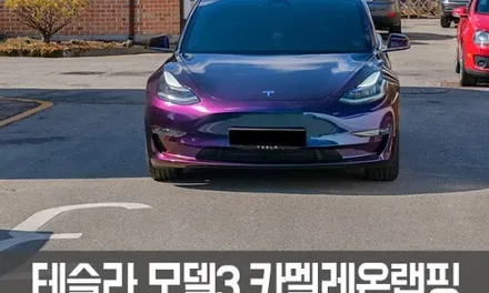 [엠페스트] 인천랩핑,청라랩핑,김포랩핑 엠페스트 스튜디오! 테슬라 모델Y전체랩핑 에이버리 락그레이전체랩핑 시멘트랩핑 / 용인시 처인구 포곡읍