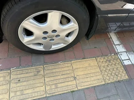 대구 휠복원 휠도색 18만원 행사 / 대구,구미