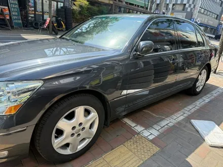 대구 휠복원 휠도색 18만원 행사 / 대구,구미