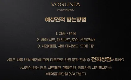 그랜저 GN7 투톤 핸들 교체 에어백 도색 커스텀 튜닝 / 서울 성동구