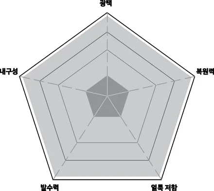 벤틀리 뮬산 STEK PPF / 경기 고양 일산동구