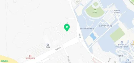 일산 랩핑 지바겐 브라부스 휠 포인트 랩핑 / 경기 고양 일산동구