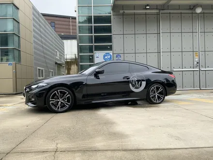일산유리막,일산ppf,김포유리막,김포ppf bmw 4 유리막 ,생보ppf / 고양 일산동구