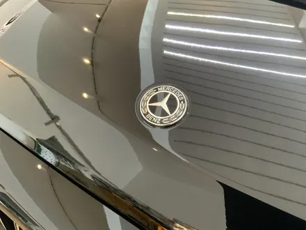 지바겐 g63 amg 전체 ppf. 김포,일산,파주 / 경기 고양 일산동구