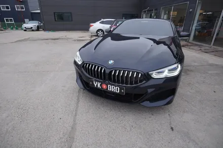 일산,김포,파주 bmw 8시리즈 스모그ppf,크롬 죽이기. / 경기 고양 일산동구