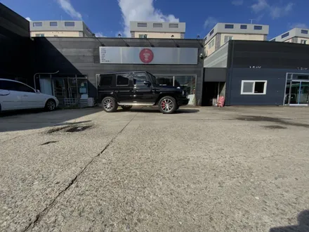 지바겐 g63 amg 전체 ppf. 김포,일산,파주 / 경기 고양 일산동구