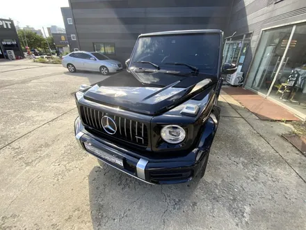 지바겐 g63 amg 전체 ppf. 김포,일산,파주 / 경기 고양 일산동구