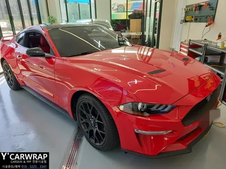 머스탱 3M2080 유광블랙 사이드미러 포인트랩핑 동탄랩핑 오산랩핑 수원랩핑 병점랩핑 랩핑시공 PPF시공 카스킨전문점 랩핑문의 랩핑맛집 와이카랩 / 화성 동탄치동천로