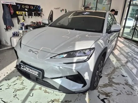 BYD 투톤랩핑 :) 엠블럼 까지 블랙으로! 동탄 수원 용인 랩핑샵 / 화성 동탄치동천로