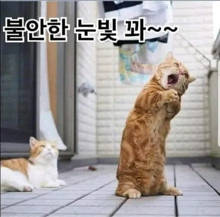 포드 익스플로러 고스트크롬복원[버핑휠][드레스업] / 인천 서구 금곡동