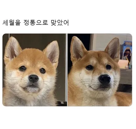 투싼 중고 휠 타이어교환[완벽한조합][인치업] / 인천 서구 금곡동