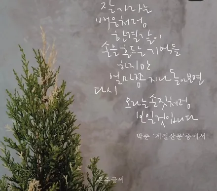 올뉴 모닝 굴절수리 [휠수리복원][휠복원싼곳] / 인천 서구 금곡동