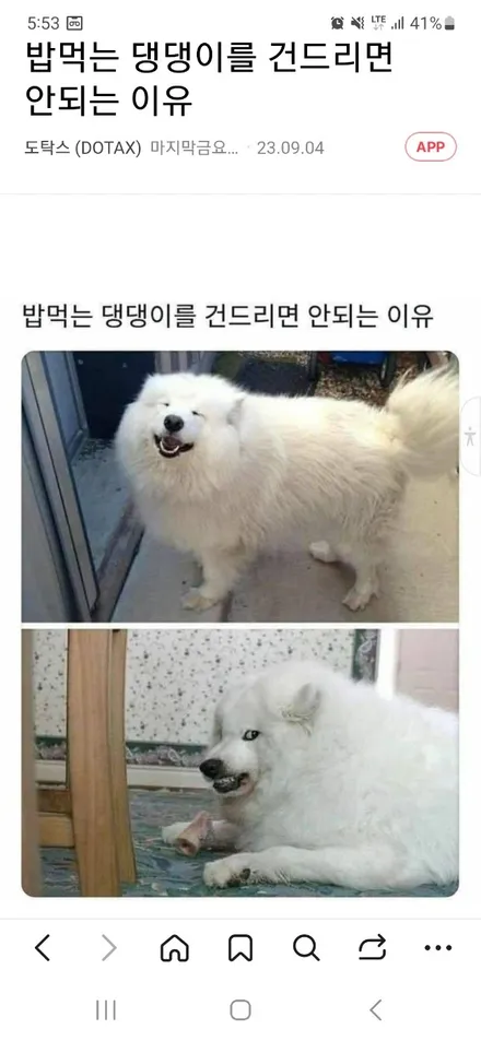 쏘렌토MQ4 하이브리드 컷팅복원 [휠손상][휠전문] / 인천 서구 금곡동