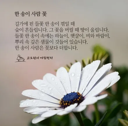 K5 유광 블랙 복원 [휠손상복원][휠복원잘하는곳] / 인천 서구 금곡동