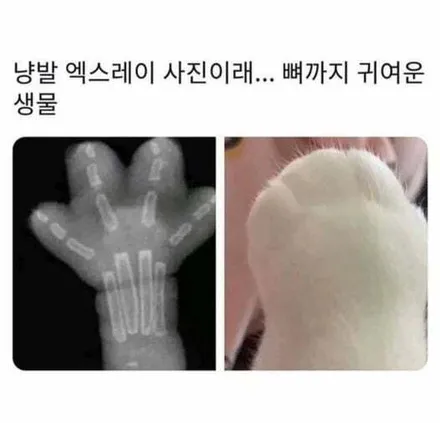 크라이슬러 PT크루저 블랙크롬복원[아우터굴절][휠복원비용] / 인천 서구 금곡동