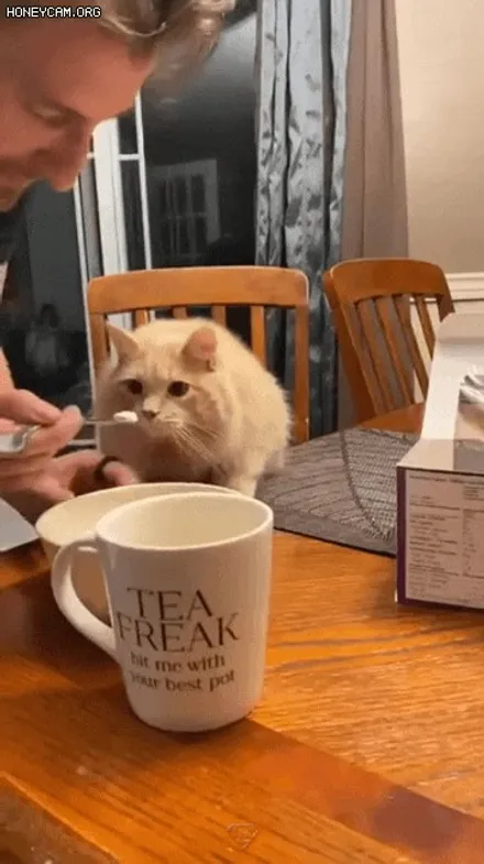 아우디 뉴A6 순정복원[휠손상][복원비용할인이벤트] / 인천 서구 금곡동