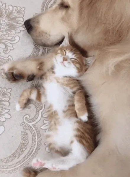 뉴SM5 굴절수리 및 한국 키너지컴포트 타이어교환[바람빠짐][휠수리] / 인천 서구 금곡동