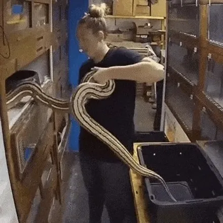 BMW X5 레드 & 유광블랙 복원 [휠도장복원][휠수리복원맛집] / 인천 서구 금곡동