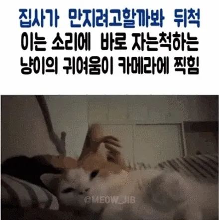 쉐보레 콜벳 순정복원 [휠손상복원][휠전문] / 인천 서구 금곡동