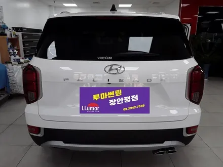 [장한평 썬팅 전문점] 팰리세이드 루마 래티튜드 썬팅과 블랙박스 작업 / 서울 동대문구 장안동