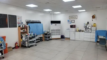 그랜저GN7 장한평 썬팅, 레이노S9 신형그랜저 신차패키지 잘 하는곳 / 서울 동대문구 장안동