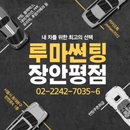 카니발 썬팅 추천 카니발 GSC 사이드스텝 서울 신차패키지 버텍스900으로 시공하기 / 서울 동대문구 장안동