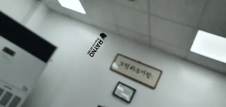 팰리세이드의 스마트한 선택, 레이노썬팅 장안평에서 신차패키지로 고민 끝! / 서울 동대문구 장안동