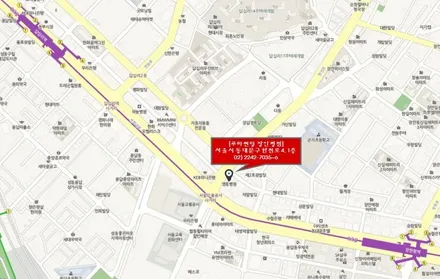 팰리세이드 루마 래티튜드로 한층 더 살린 스타일!! / 서울 동대문구 장안동