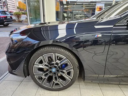 서초PPF BMW 5시리즈 방어를 위한 최고의 STEK PPF 조합 / 강남, 개포, 양재