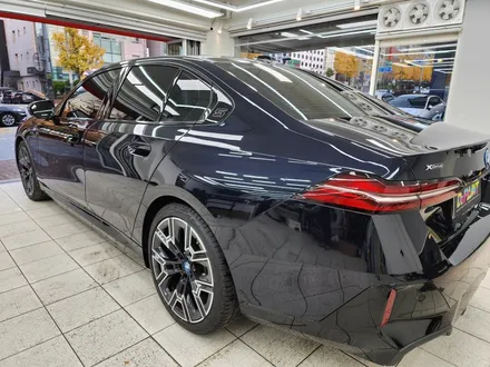 서초PPF BMW 5시리즈 방어를 위한 최고의 STEK PPF 조합 / 강남, 개포, 양재