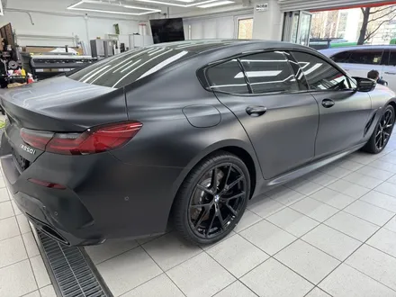 BMW M850i 그란쿠페 무광 PPF - 양재 스텍 전문시공점 / 강남, 개포, 양재